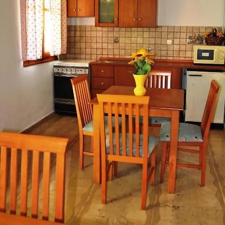 Seahorse Healing Effect Sidárion