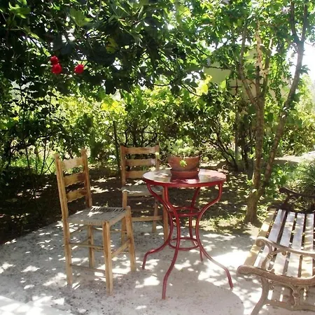 Seahorse Healing Effect 3*