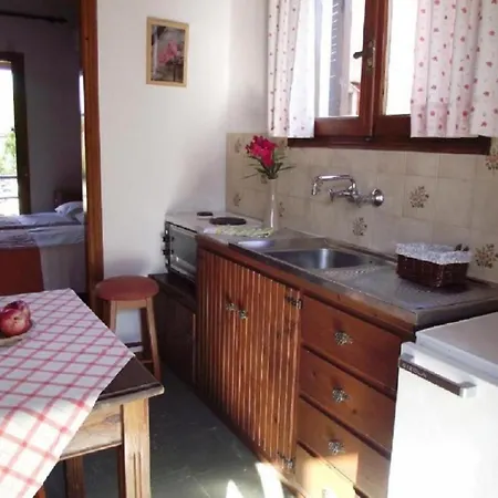 Seahorse Healing Effect Sidárion