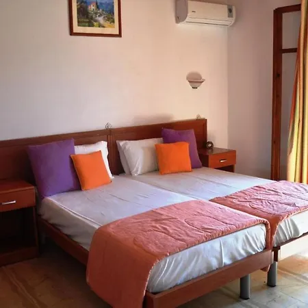 Seahorse Healing Effect